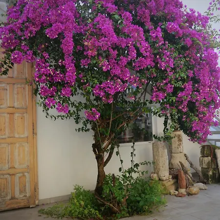 Casa De La Fra *